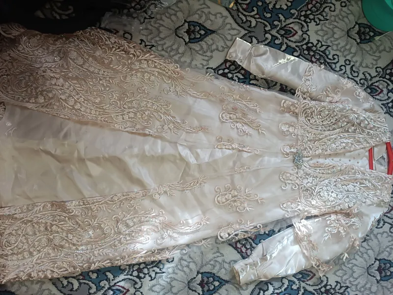 ayollar koʻylagi