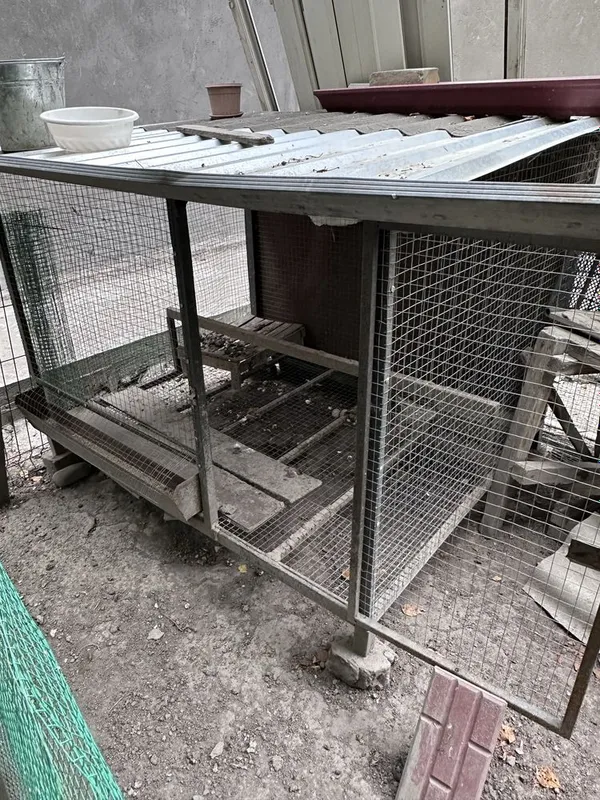Tovuqlar va maxsus yasalgan katak kalitkasi sotiladi. 5