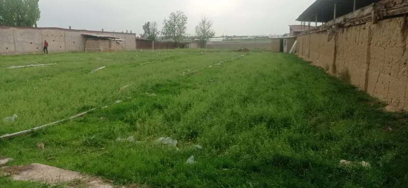Yunsobod zenitan 1 km kirganda hasanboyda yer sotiladi 19sutu — фото 2