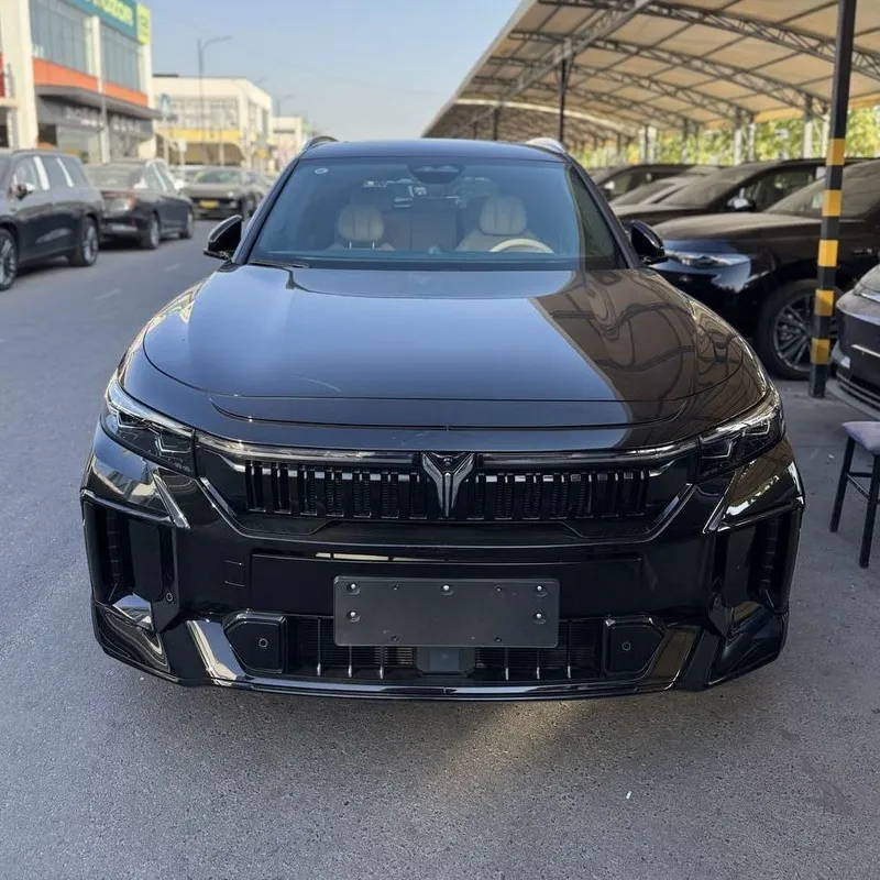 Voyah free Apollo tech 210km 2024