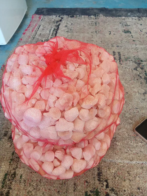 Продаётся курт 2 Продаётся курт 2