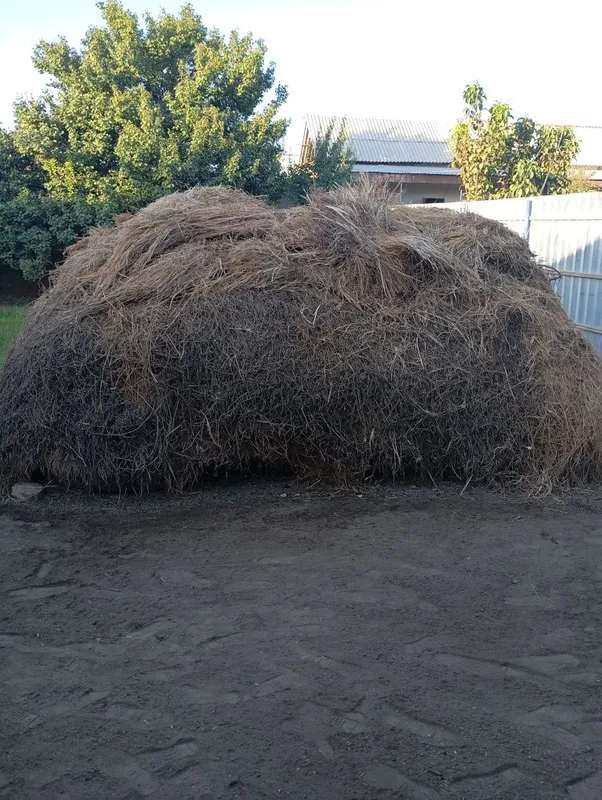 Беда ути Бунт сотилади 1 Беда ути Бунт сотилади 1