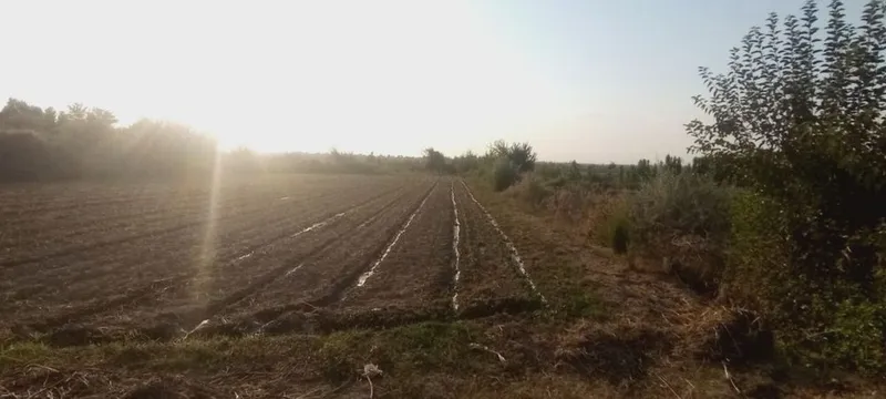Turar joy Ozod dacha 3 Turar joy Ozod dacha 3