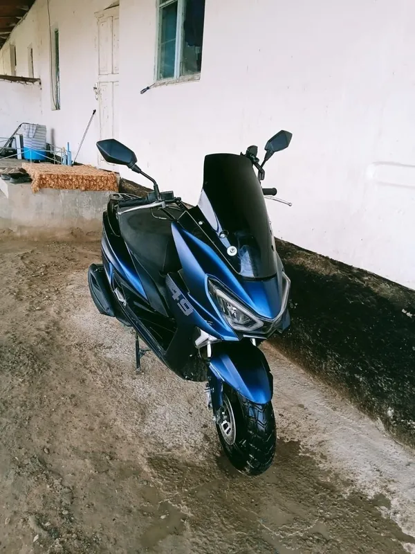 GST tiger skuter 3