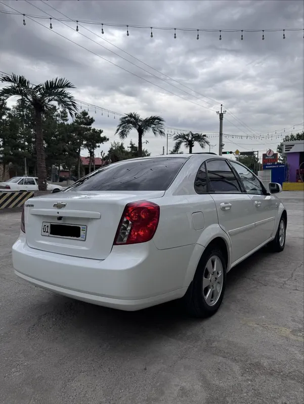 Kraska TOP TOZZA ! 2019 y Elegant plus Luks — фото 4