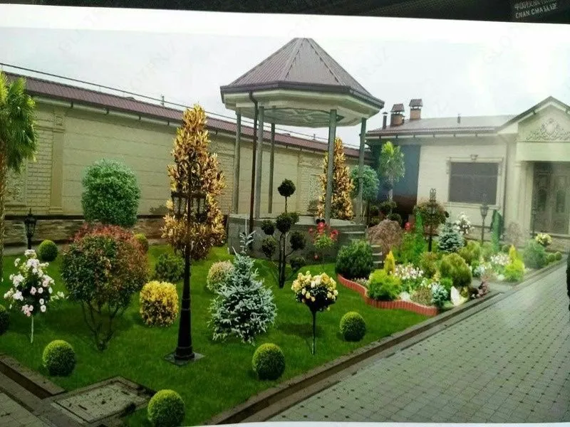 Gazon ekish xizmati 5