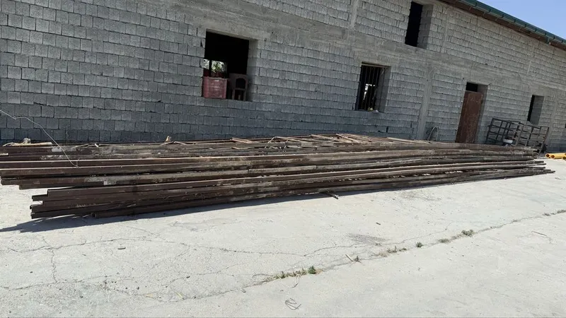 Таййор ферма срочно сотилади