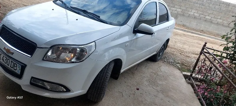 Holati yaxshi prabig qaytarilmagan