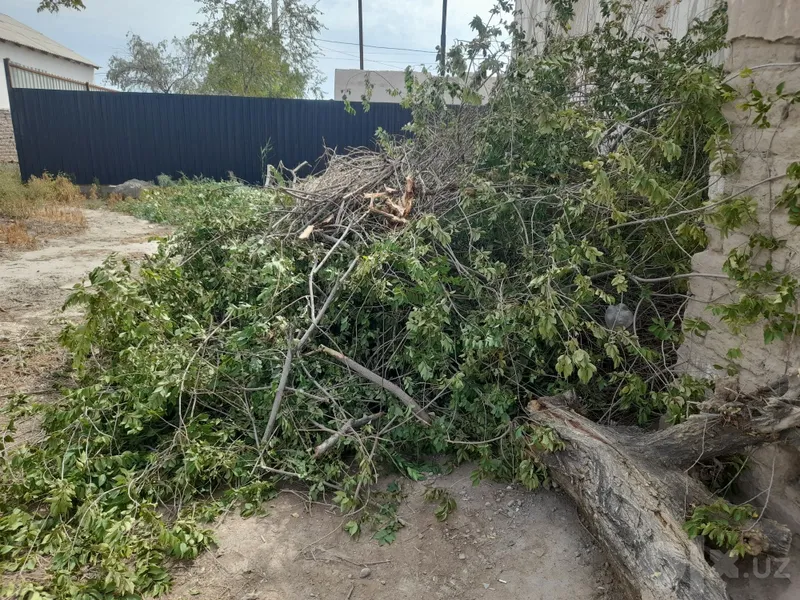 Продаю дрова,всё за 400.000 сумм договорная 1 Продаю дрова,всё за 400.000 сумм договорная 1