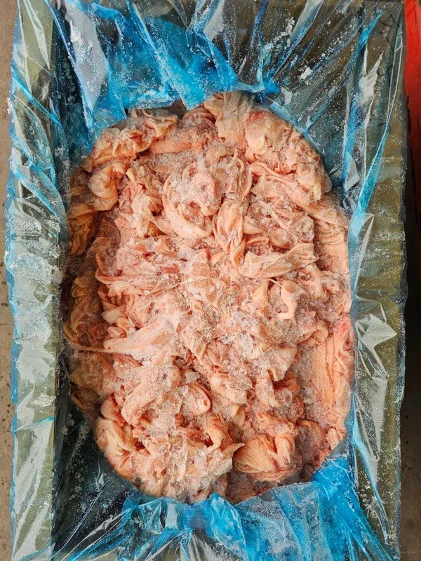 Кожа малая с грудки замороженная (шкура, terisi) Кожа малая с грудки замороженная (шкура, terisi)