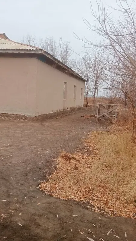 Абай ОФИ да Уй сатылады. — фото 2