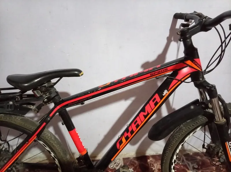 Oyama chempion 26