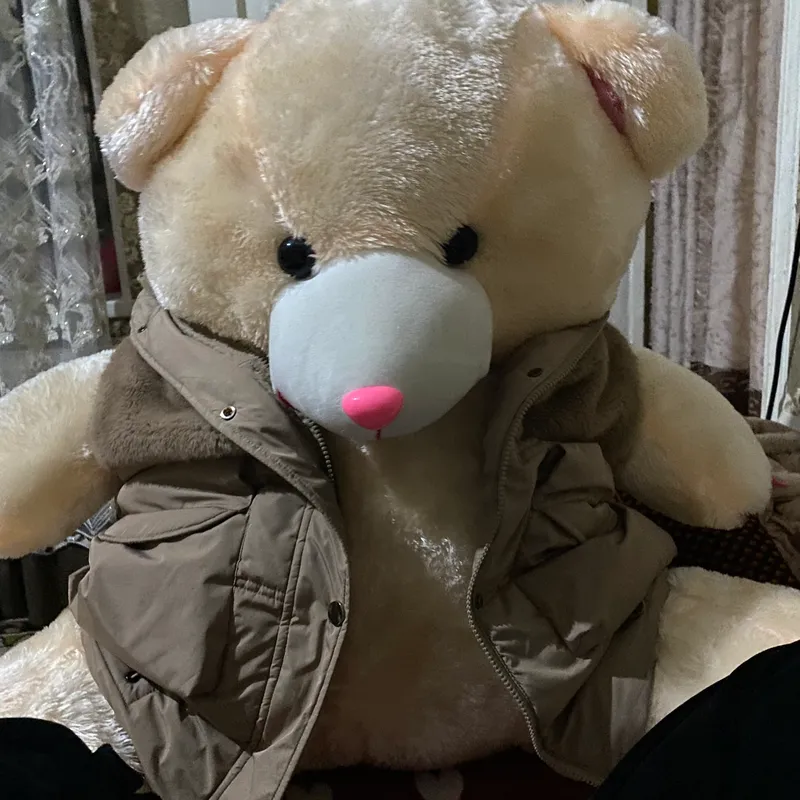 Teddy Bear