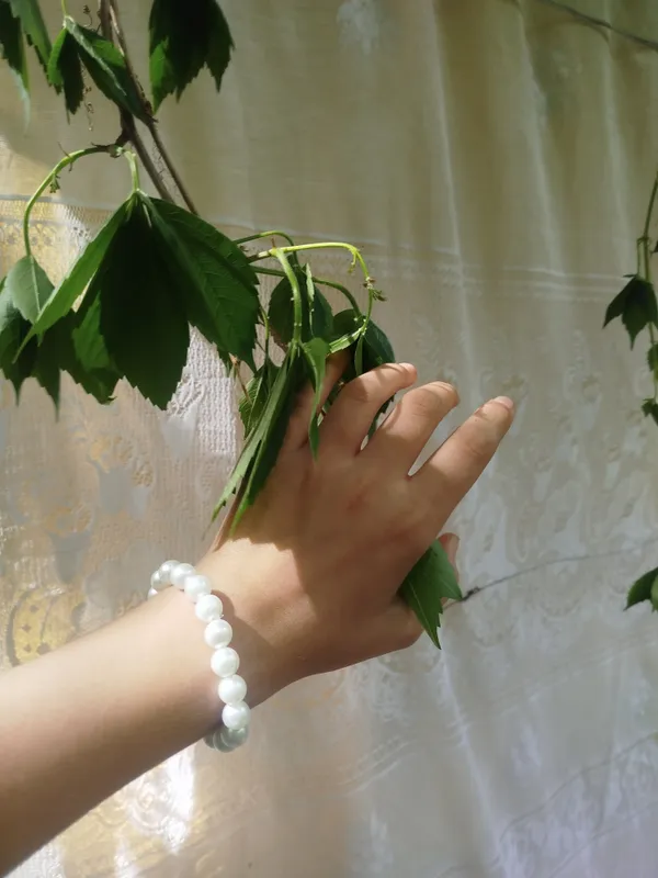 Украшение 3 Украшение 3