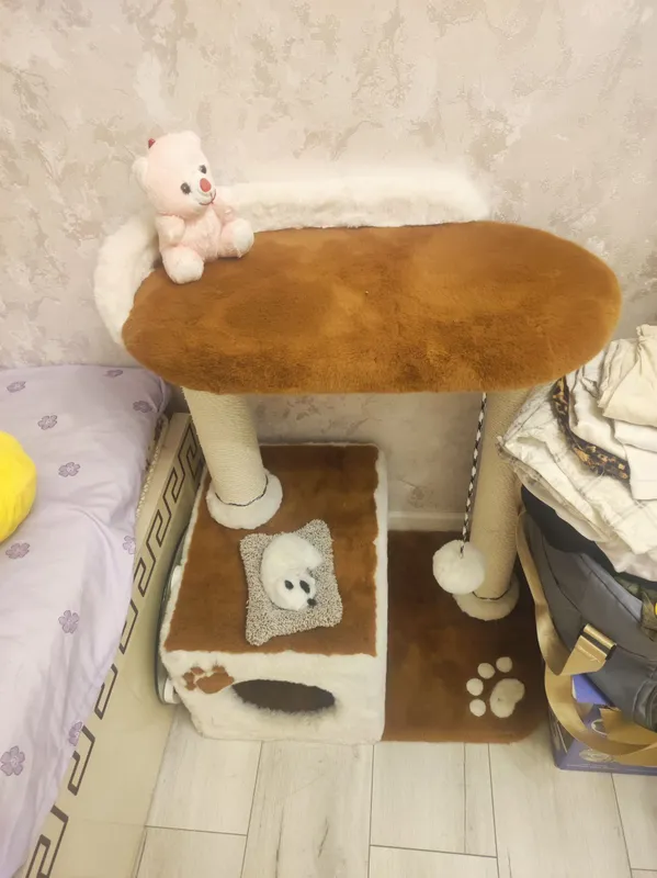 домик кошка — фото 1