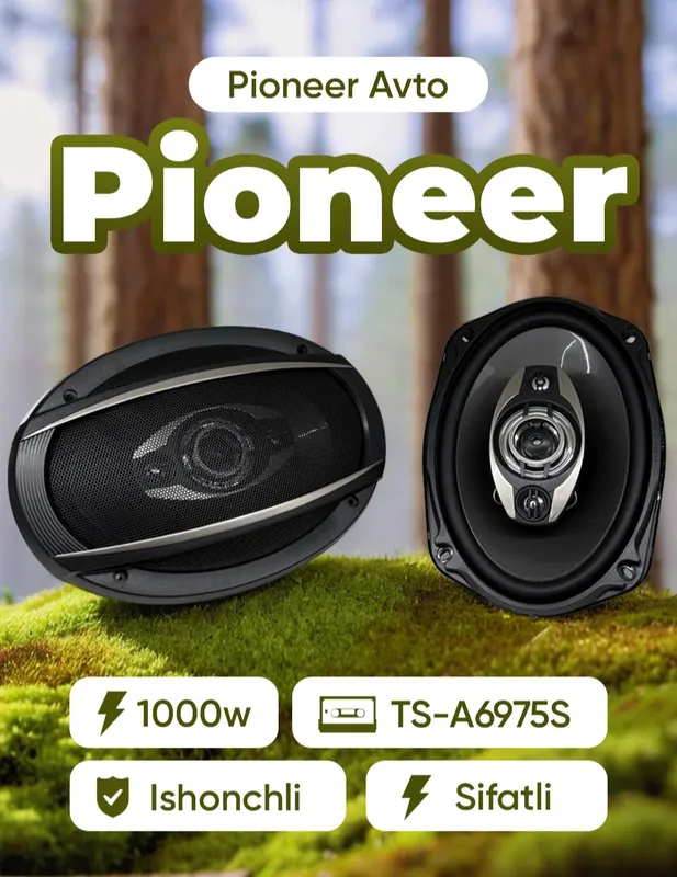 Pioneer TS A6975S avtomobil kalonkasi