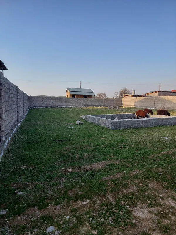 Parkent tumani Qizil tog'da dacha uchun mo'ljallangan yer sotiladi — фото 3