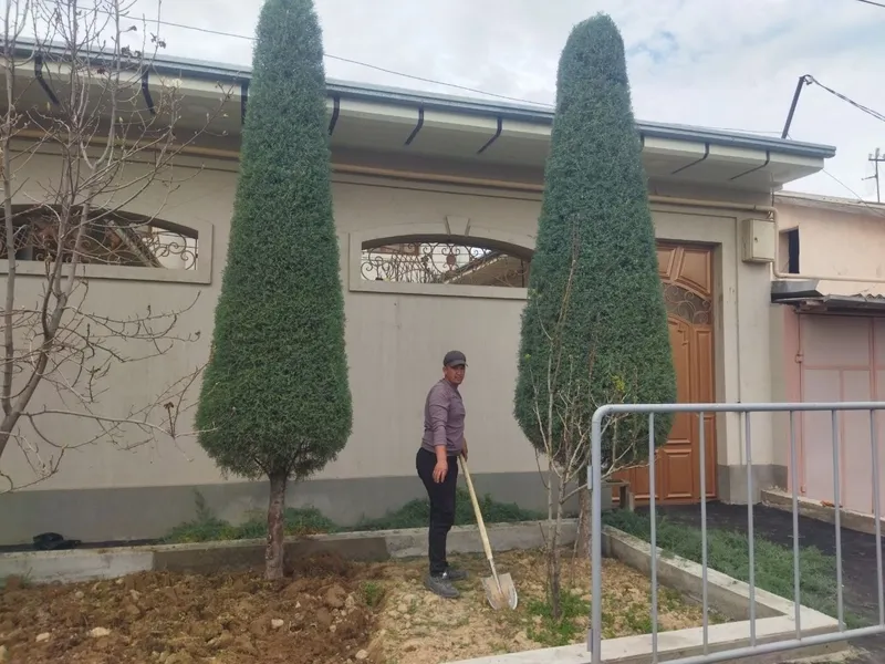 Archa kesish dorilash va gazon ikish 2