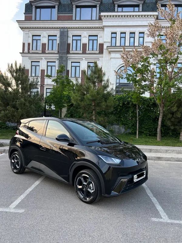 Byd seagull 2025 yil probeg 7000 ofitsialniy
