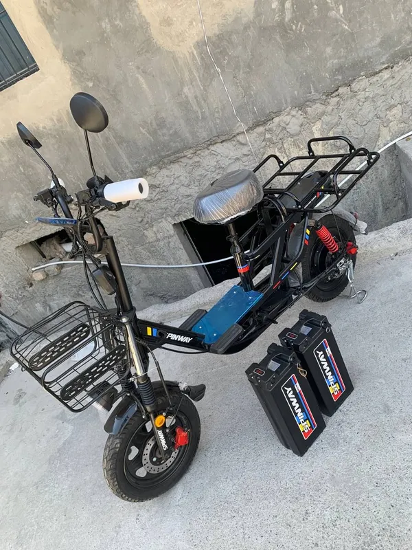 elektro velik