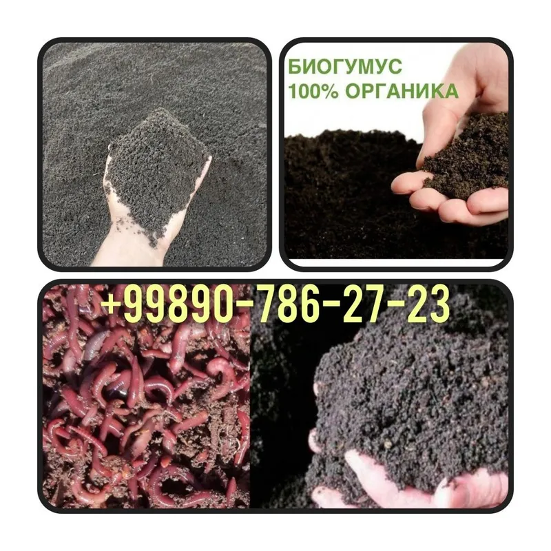 Sifatli toza 0.5 setkaga elangan Biogomuslar sotiladi — фото 3