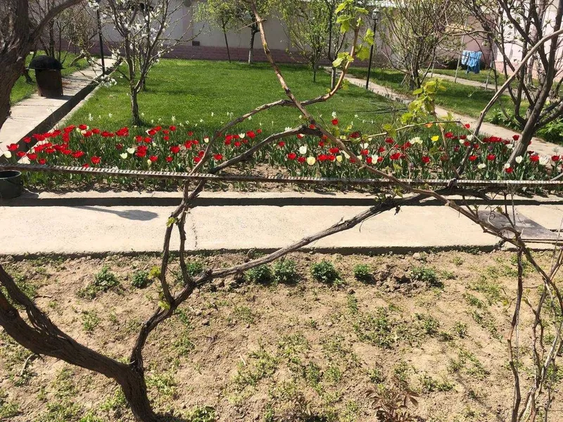 Уй сотилади ер нархида — фото 2