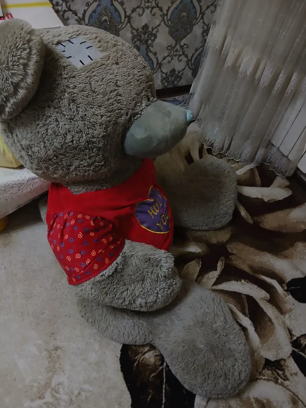 teddy ayiq xolati a'lo yengi 165sm