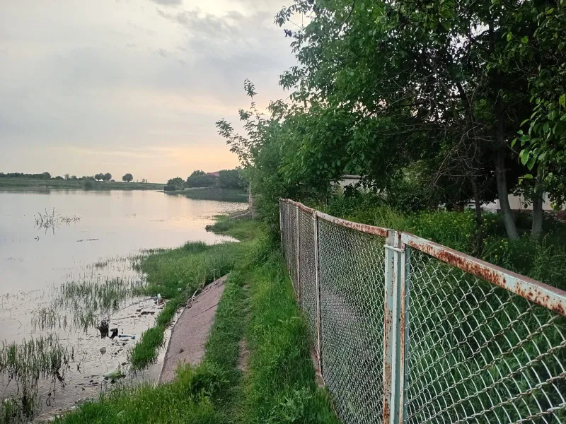 Продаю дом мечты у воды Ташморе — фото 5