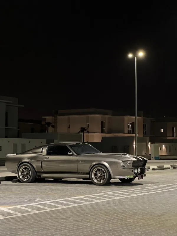 Ford Mustang Shelby 1970 Ford Mustang Shelby 1970