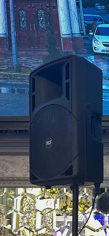 Rcf 315 Passiv Рсф 315 Пассив монитор 2