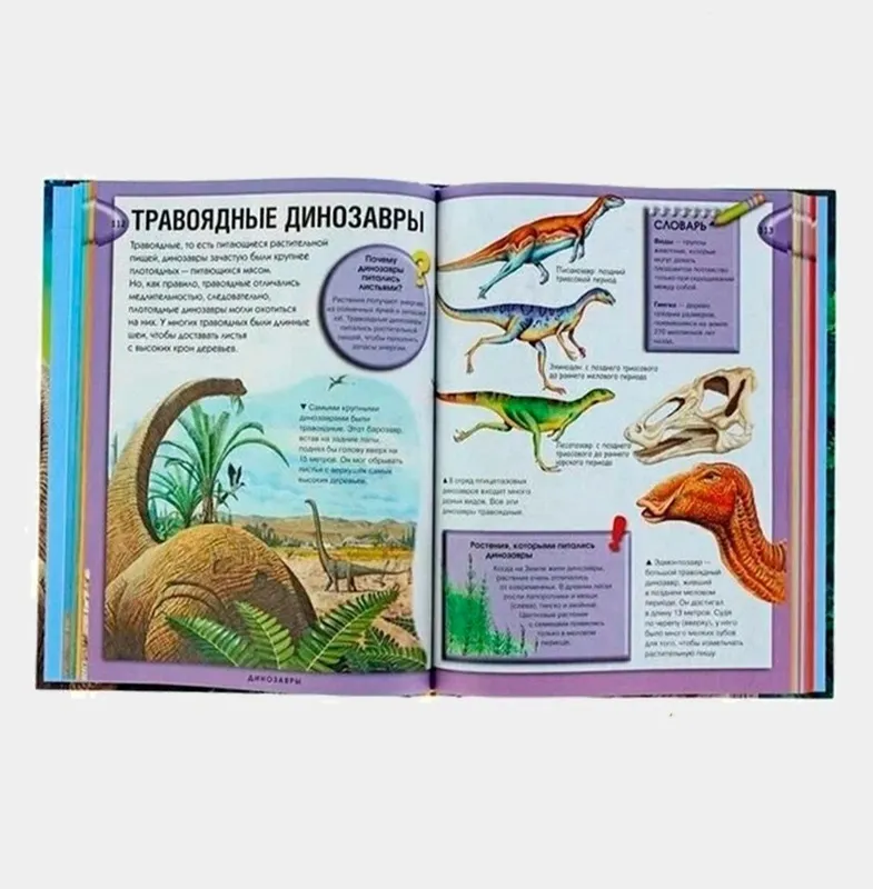 Доставка. Большая книга вопросов и ответов Что? зачем? почему? — фото 7