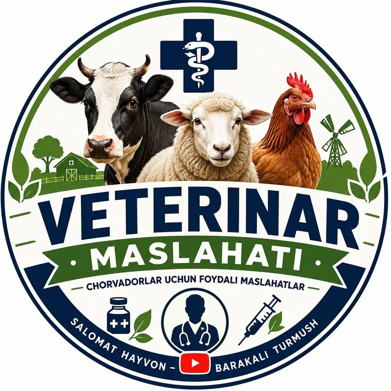 Qoʻy va echkilarni yungini olish va tuyoq kesish xizmatlari mavjud 3 Qoʻy va echkilarni yungini olish va tuyoq kesish xizmatlari mavjud 3