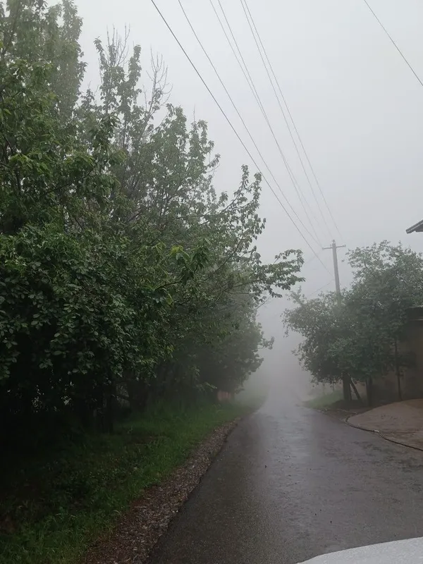 Kumiwkonda yer bor 12 sotik sotiw srochna