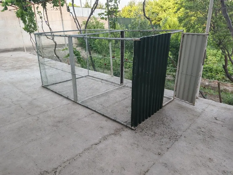 Tovuqlar uchun katak