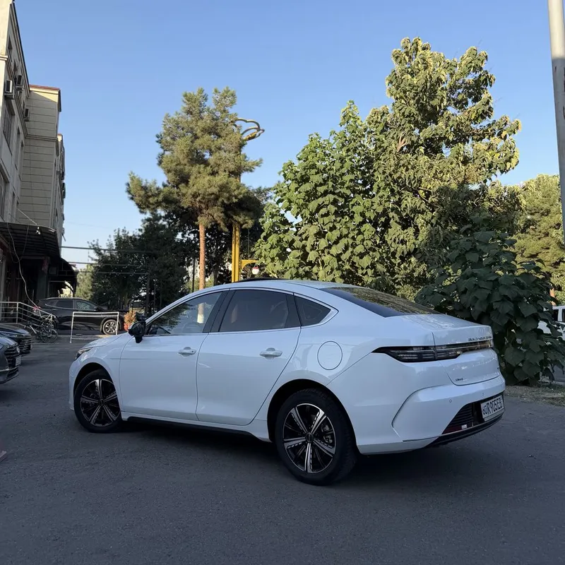 Byd chazor 120 Full 4 Byd chazor 120 Full 4