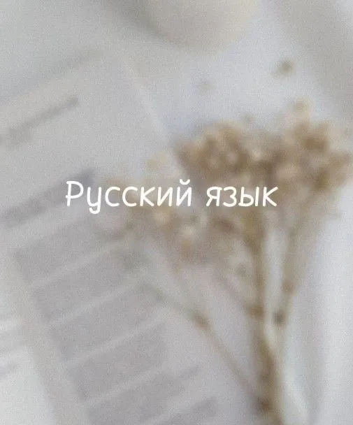 Репетитор по русскому языку Репетитор по русскому языку