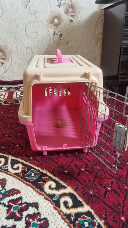 переноска для кошек