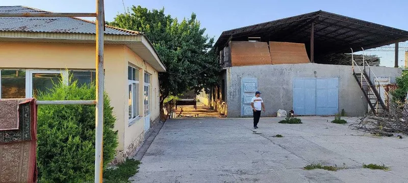 1 гектар, Зангиота Эркин пост 6,5 км, зор локация Нархи 6500 дан 1 гектар, Зангиота Эркин пост 6,5 км, зор локация Нархи 6500 дан
