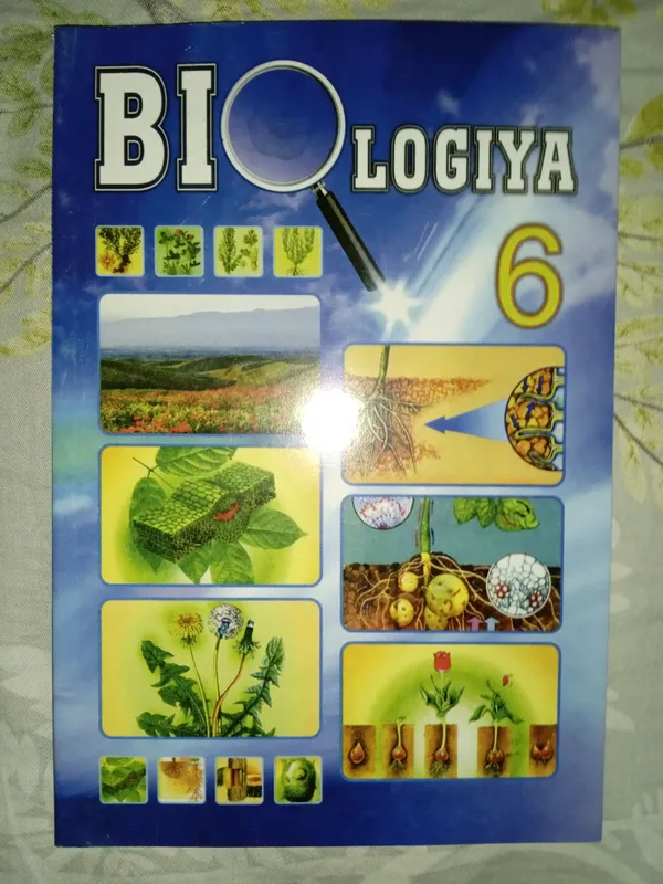 Книга Книга