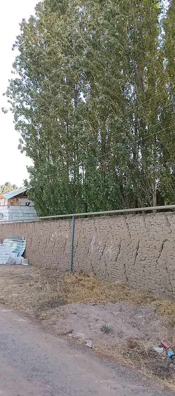 Yer sotiladi Yengi Toshmiy postan kirganda