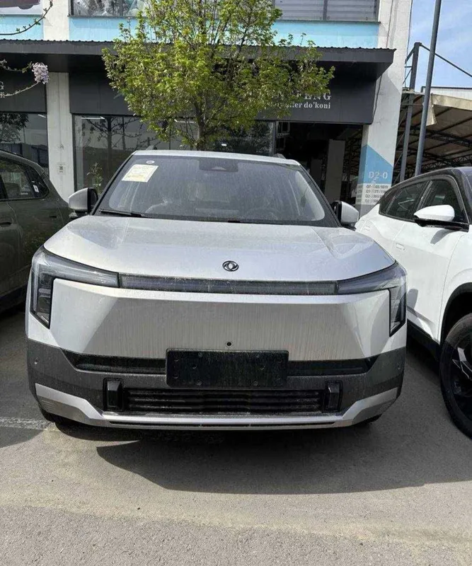 Donfeng Nammi 06 Gibrid+Elektr