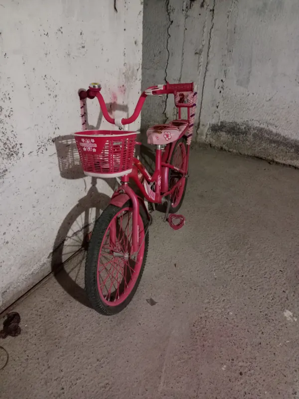 velosiped — фото 1