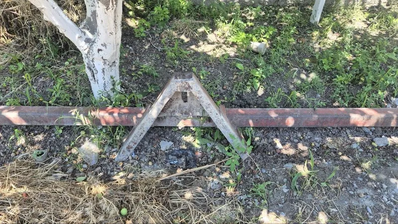 Культувация рамаси — фото 1
