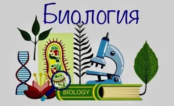 Репетитор по биологии
