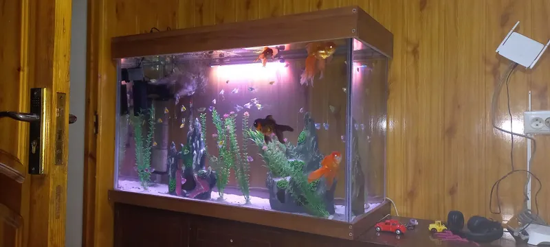 На заказ аквариум, zakazga akvarium yasimiza keliwilgan holda — фото 1
