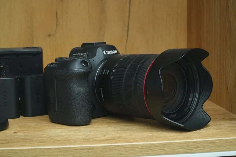 Canon EOS R6 Mark II + Canon RF 24-105mm f/4L USM — фото 2