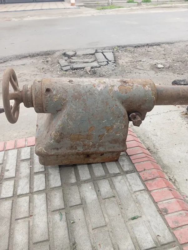 Zadniy bapka dip 300