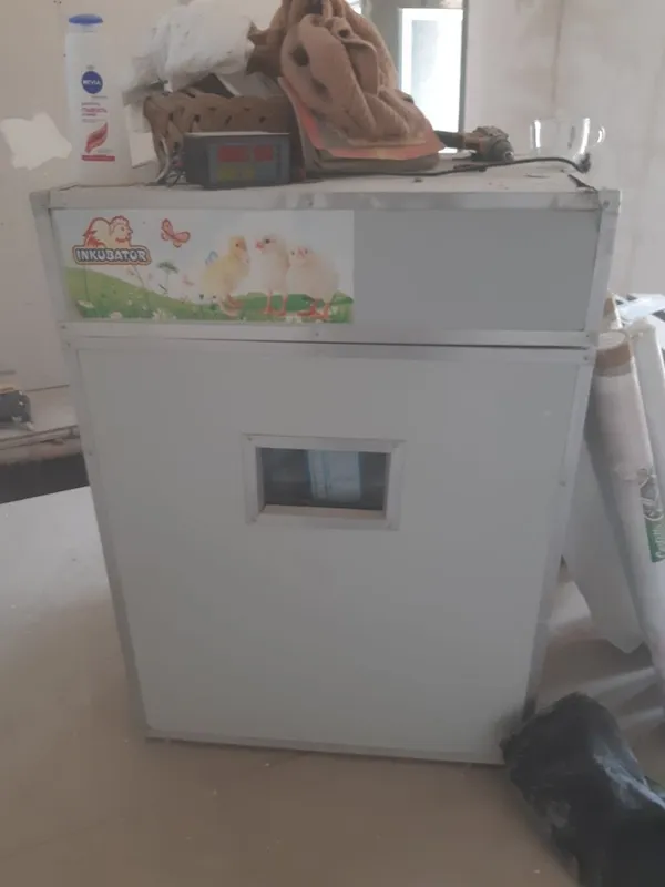 Инкибатор 1088 та тухум сигади 1