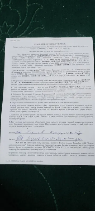 damas kuzf 6 damas kuzf 6