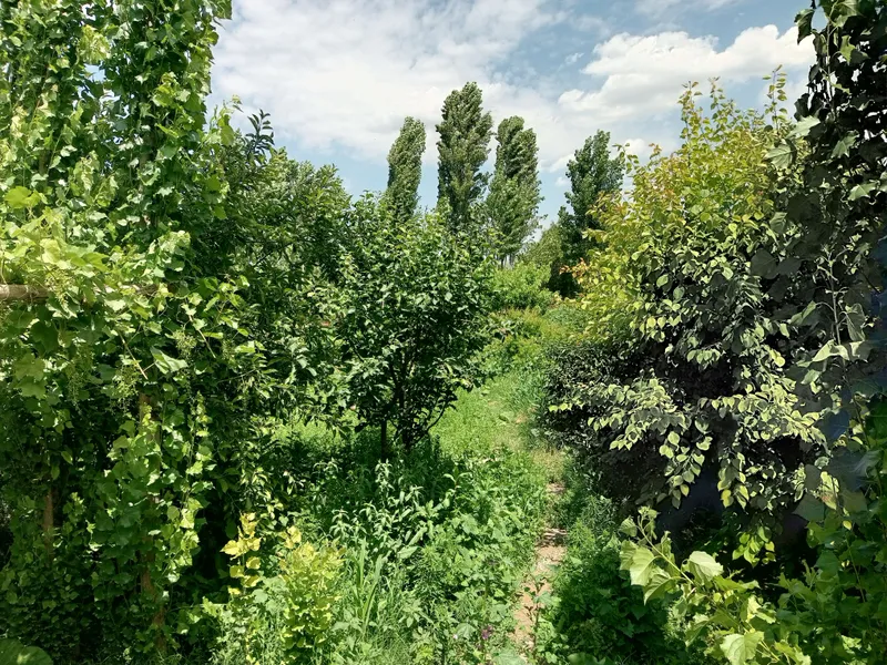 ховли уй сотилади — фото 8